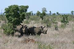 0243-Reis Zuid-Afrika2007